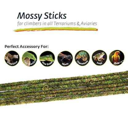 Galápagos (05320) Mossy Terrarium Sticks 18" (Pack of 6) - size: 18"