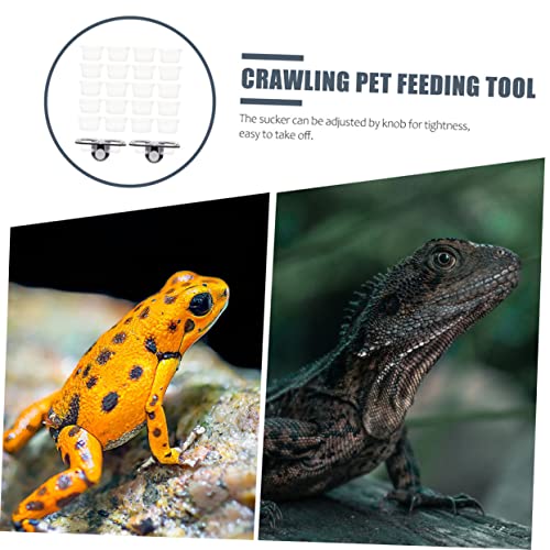 Happyyami Large Reptile Water Dish Gecko Feeder with Double Cups Reptile Feed Platform Random Color