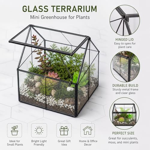 Ferrisland Glass Plant Terrarium Container Wardian Case Indoor Small Succulent Terrarium Planter w/Door for Tabletop Decor DIY - 4.9"x4.3"x4.3" - size: 4.3"L x 4.3"W x 4.9"H