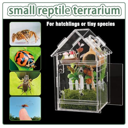 Acrylic Terrarium Kit for Jumping Spiders & Tarantulas - 3.15"x3.15"x5.6" Spider Enclosure with Magnetic Feeding Door & Secure Latch - Ideal Reptile Cage, Praying Mantis Habitat, Bug Terrarium