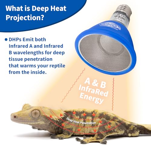 Pangea 50W Deep Heat Projector for Reptiles with Carbon Fiber Filament, Core Warming Infrared A and B Bulb for Basking Lizards, Designed for Ceramic Sockets (50 Watt)