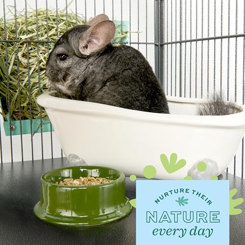 Oxbow POOF! Chinchilla Dust Bath,100% Natural Blue Beauty Dust for Chinchillas, Degus, Gerbils, and Hamsters, Small Animal Grooming, Natural Dusting Powder, 2.5 lbs Jar - size: 2.5 Pound (Pack of 1)