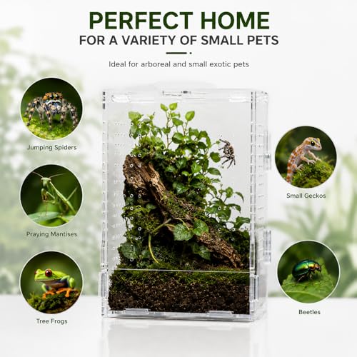 Jumping Spider Enclosure, Large Acrylic Arboreal Terrarium with Top Rotating Lock Door, Ventilated Insect Habitat Tank for Jumping Spiders, Small Geckos