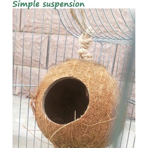 Gecko Coconut Shell Hut Reptile Hideout Home Nesting House Natural Habitat Decor with Hanging Wooden Ladder for Lizard Gecko Hermit Crab