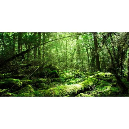 AWERT 72x18 inches Tropical Terrarium Background Rainforest Aquarium Background Green Tree Reptile Habitat Background Vinyl - size: 72x18in/180x45cm