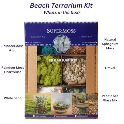 SuperMoss (90422) Beach Terrarium DIY Kit – Create Stunning Nature-Inspired Mini Gardens – Perfect for Home Decor, Office Gifts, and Plant Lovers, Appx 4 Oz