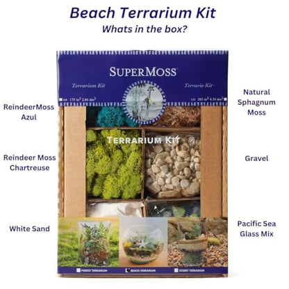 SuperMoss (90422) Beach Terrarium DIY Kit – Create Stunning Nature-Inspired Mini Gardens – Perfect for Home Decor, Office Gifts, and Plant Lovers, Appx 4 Oz