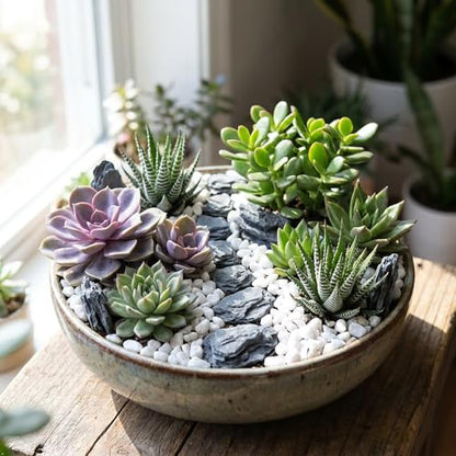 Kai Dream Miniature Stones for Terrarium - Tree Bark Diorama Rocks for Miniature Terrain Display - Lightweight Reptile Habitat Decor - NOT for Aquarium Underwater Use - 12 Pcs Slate Stone (1-2 inch) - style: 12P Wooden Slate Rocks