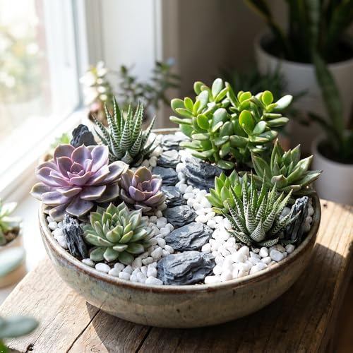 Kai Dream Miniature Stones for Terrarium - Tree Bark Diorama Rocks for Miniature Terrain Display - Lightweight Reptile Habitat Decor - NOT for Aquarium Underwater Use - 24Pcs Slate Stone (1-2 inch)“ - style: 24P Wooden Slate Rocks