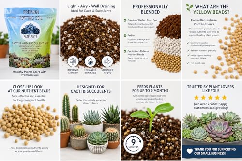 Fat Plants San Diego Premium Cacti and Succulent Potting Mix Soil - for Cactus Palm Tree Citrus Plant Grown in Gardening Containers - Indoors & Outdoors Use - with Natural Food/Fertilizer - size: Gallon
