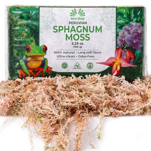 Long Fiber Sphagnum Moss for Indoor Plants Peruvian Orchid Moss Ultra Clean Odor Free Fast Expanding Moisture Retention Airy Drainage for Aroids Carnivorous Plants Terrarium Reptile Bedding (5.3oz) - size: 5.3oz
