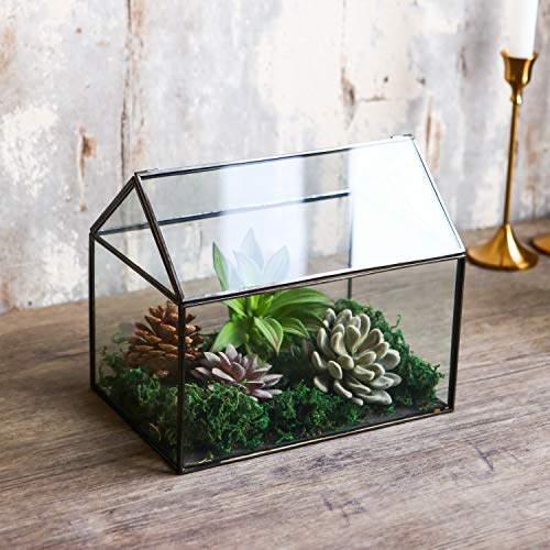 House Shape Close Glass Geometric Terrarium Tabletop Succulent Plant House Garden Planter Moss Fern Swing Lid, Flower Pot for Plants Succulent, Air Plant (Black) - color: Black