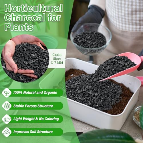 Legigo 12QT All Natural Horticultural Charcoal- Activated Hardwood Plant Charcoal for Soil Amendment, Conditioning Bonsai Soil, Succulent, Terrarium Supplies, Indoor Plant Potting Soil - color: 12 QT