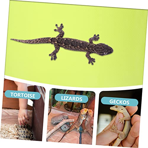 TOYANDONA Reptile Carpet Bedding for Terrarium Non Slip Washable Substrate Mat for Lizards Tortoises Snakes Durable Easy to Clean Reptile Accessories