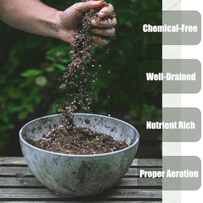Doter Organic Potting Soil Mix 10qt for All Indoor & Outdoor Small Containers Including Herbs, Vegetables, and Flowers - size: 10qt