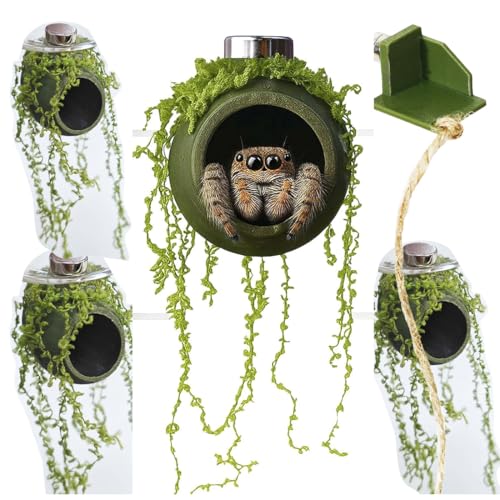 4Pcs Jumping Spider Enclosure Accessories Cocoon-Shaped Jumping Spider Hideaway with Artificial Moss and 1 Pcs Resting Platform Magnetic Small Animal Shelter Toy (Army Green) - color: Army Green