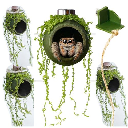 4Pcs Jumping Spider Enclosure Accessories Cocoon-Shaped Jumping Spider Hideaway with Artificial Moss and 1 Pcs Resting Platform Magnetic Small Animal Shelter Toy (Army Green) - color: Army Green
