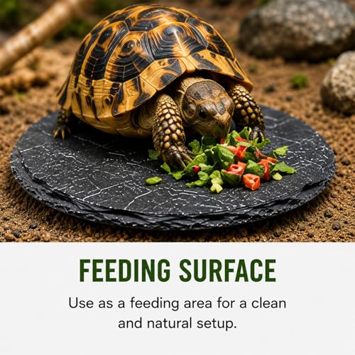 Natural Slate Reptile Basking Platform Feeding Stone for Tortoise Gecko Terrarium Decor(Round Plate) - size: ROUND PLATE