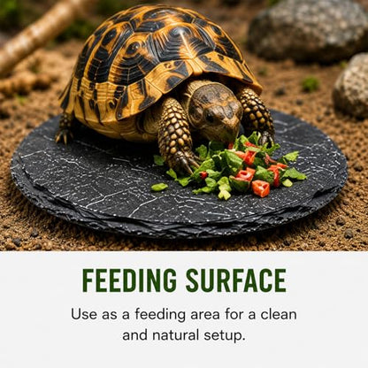 Natural Slate Reptile Basking Platform Feeding Stone for Tortoise Gecko Terrarium Decor(Square Plate) - size: SQUARE PLATE