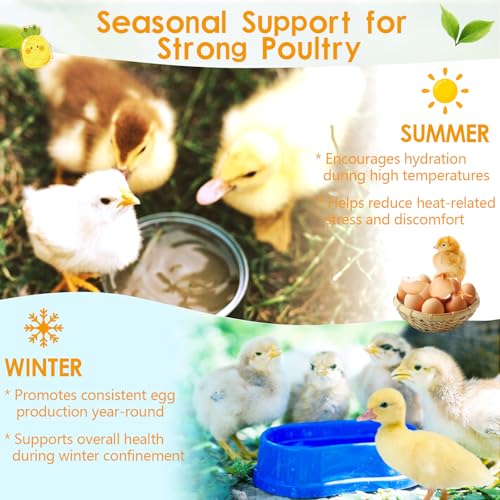 Yakucho Chicken Electrolytes for Water, Poultry Vitamins with Probiotics, Hydration, Immunity & Digestive Support, for Chicks, Adult Birds, Chickens, Ducks & Turkeys, 8.8oz Chicken Supplement Powder