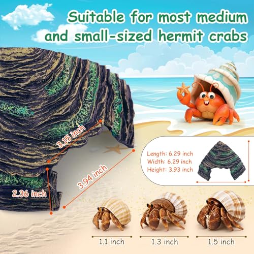 Hermit Crab Accessories Kit 5 PCS, Exclusive Hiding House + Food/Water Bowl + 3 Artificial Plants, Naturalistic Terrarium Decor for Hermit Crabs (Not for Large Reptiles)