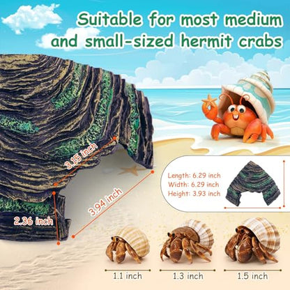 Hermit Crab Accessories Kit 5 PCS, Exclusive Hiding House + Food/Water Bowl + 3 Artificial Plants, Naturalistic Terrarium Decor for Hermit Crabs (Not for Large Reptiles)