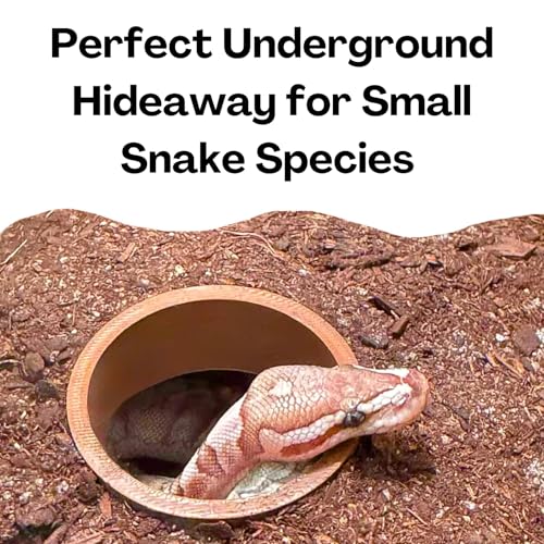 Reptile Underground Cave Viewing Hide | Hognose Snake Leopard Gecko Hide Habitat Tank Enrichment | Reptile Decoration Accessories Supplies Toys Ornaments