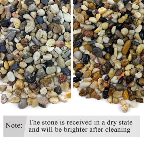 FANTIAN 40 lbs Aquarium Gravel, 2/5 Inch Pea Gravel for Fish Tank, Decorative Rocks for Freshwater Tank, Outdoor Pond, Garden Landscaping, Terrarium, Soil Drainage - size: 2/5 Inch