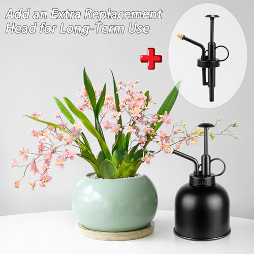 Metal Stainless Plant Misters for Inside,Succulent Watering Bottle With Top Pump, Small Plant Sprayer Mister Watering Can for Indoor Outdoor House Plant,Black Plant Spray Bottle (A-Black)