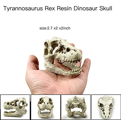 AWXZOM Reptile hideouts Come with Dinosaur Skull Hideout, Resin Cactus Desert Aquarium Tank Habitat Accessories for Bearded Dragon Chameleon Leopard Gecko Snake Fish (Ball Cactus)