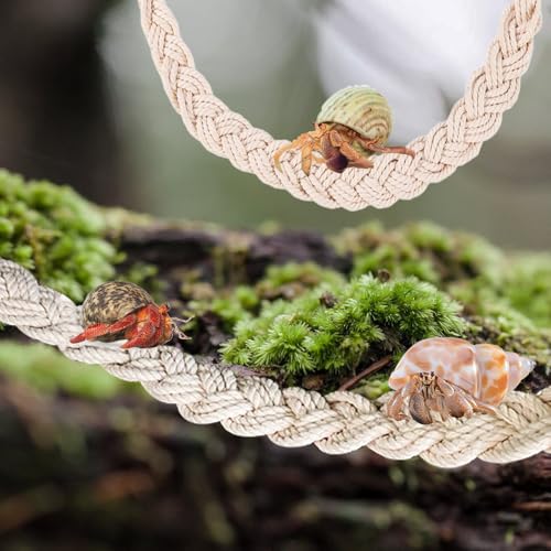 MiOYOOW Hermit Crab Rope Toys, 2PCS Hanging Hermit Crab Vines Toys with Suction Cups, Reptile Tank Terrarium Accessories for Lizards Geckos Snakes Hermit Crabs Spiders