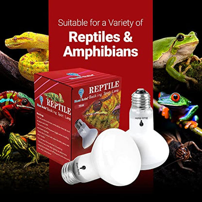 4 Pack 75-Watt Basking Light for Reptiles & Amphibians - Heat Lamp Bulbs for Glass Terrariums, Suitable for Bearded Dragons, Lizards, Iguanas - Broad Spectrum Reptile Basking Bulb