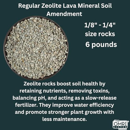 Zeolite Regular 12 lbs, Clinoptilolite 1/8"–1/4" (3–6 mm), Soil Amendment for Succulents, Bonsai & Plants, Improves Drainage and Moisture Balance, Decorative and Aquarium Use - style: Regular - 12 lbs