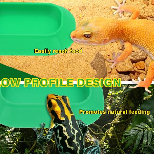 4 Pack Reptile Food and Water Bowls, Colorful Small Reptile Feeding Dishes for Leopard Gecko, Bearded Dragon, Lizard, Frog, Tortoise, Hermit Crab, Snail