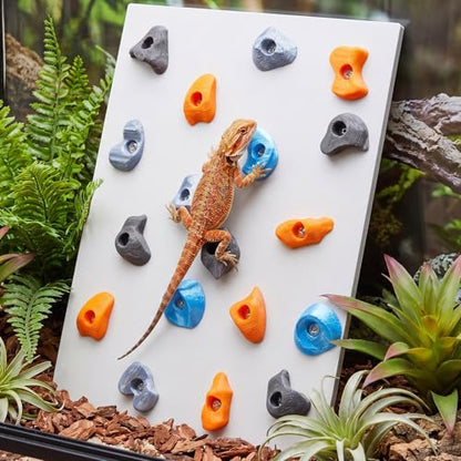 Junkin Reptile Rock Climbing Wall with Climbing Grips, 9.8 x 7.9 Inches Terrarium Enclosure Habitat Decor Reptile Tank Enrichment Accessories for Bearded Dragons, Geckos, Lizards & Snakes