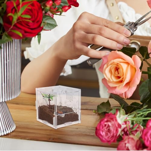 Small Acrylic Reptile Breeding Box with Ventilation Animal Habitat Cage for Spiders Jumping Spiders and Small Amphibians Terrarium for Indoor Pet Keeping