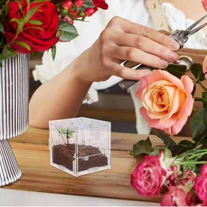 Small Acrylic Reptile Breeding Box with Ventilation Animal Habitat Cage for Spiders Jumping Spiders and Small Amphibians Terrarium for Indoor Pet Keeping