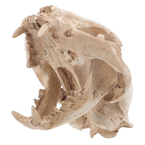 Amosfun Halloween Animal Scary Skeleton Props Resin Cat Skull Model Figurine Aquarium Fish Tank Landscape Decorations