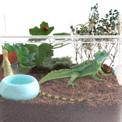 3 Pcs Worm Dish Reptile Food Bowl Tarantula Water Bowl for Spider Tarantula Gecko Lizard Small Reptile