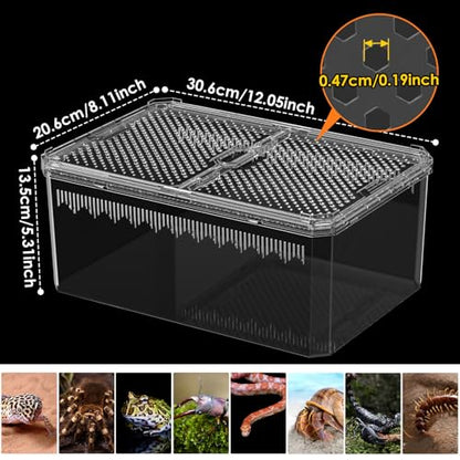 【No Assembly】 Breathable and Secure Reptile Tank with high Transparency - Ideal Container House for Hermit Crab, Tarantula Enclosure, Turtle Tank or Jumping Spider Habitat (L)