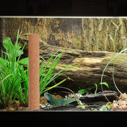 Natural Wood Platform for Turtle Tank and Small Animal Climbing Stand with Sturdy Material and Exercise Aid, Decorative Reptile Climbing Branch for Homes and Pet Shops