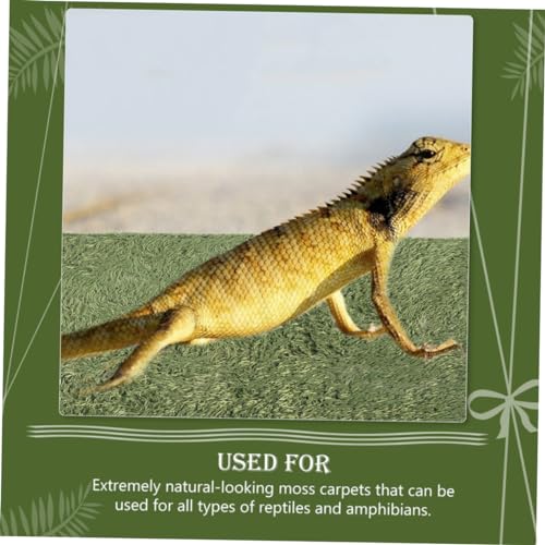 BESPORTBLE Reptile Moss Carpet for Terrariums Fake Grass Mat for Lizard Tanks Tortoise Bedding and Amphibian Habitat Moisture Retaining Cushion for Reptile Enclosures
