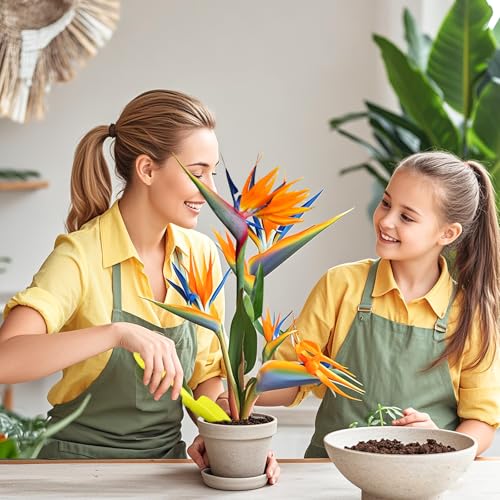 Organic Bird of Paradise Potting Soil Mix 2qt, Ideal for Indoor/Outdoor Potted Plants, Promotes Optimal Growth for Bird of Paradise - size: 2qt