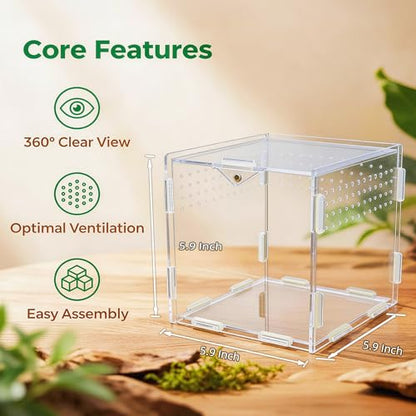 Portable Travel Jumping Spider Enclosure, Acrylic Terrarium for Spider, Magnetic Lock Spider Habitat & Small Terrarium Ventilated for Tarantula,Mantis,Frog,Insect Enclosure cage(5.9×5.9×5.9 Inch) - size: 5.9×5.9×5.9 Inch