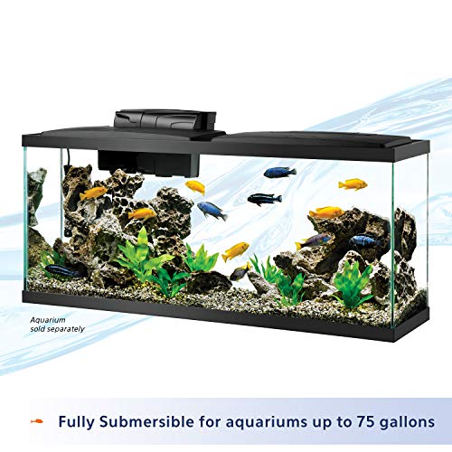 Aqueon Aquarium Fish Tank Preset Heater For Up To 75 Gallons, 200 Watts - size: 200 Watts