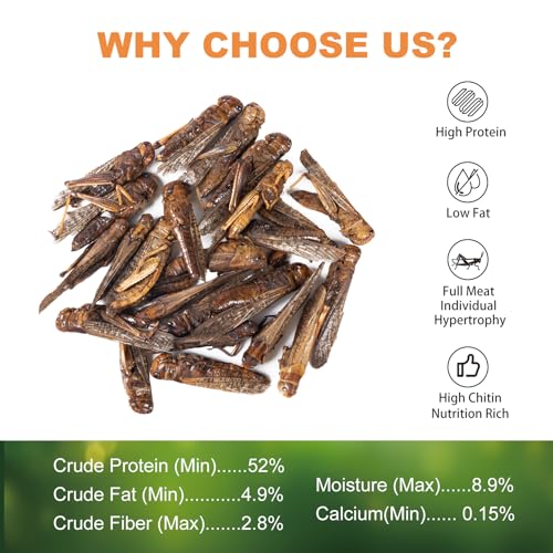 Dried Grasshoppers for Reptiles - All Natural High Protein Insect Treats for Bearded Dragons, Turtles, Geckos, Lizards, Hedgehogs & Birds (3.5oz)