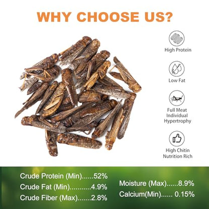 Dried Grasshoppers for Reptiles - All Natural High Protein Insect Treats for Bearded Dragons, Turtles, Geckos, Lizards, Hedgehogs & Birds (3.5oz)