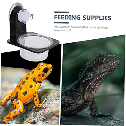Abaodam 1set Reptile Feeders Double Bowl Design Lizard Water Basin Easy to Clean Feeding Dish for Bearded Dragons Geckos and Frogs