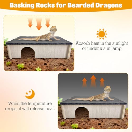 PINVNBY Large Bearded Dragon Basking Platform, Wooden Snake Hide, Ball Pythons Hide with Slate Rock, Leopard Gecko Tank Accessories for Geckos, Crested Gecko Chameleon Turtles (L: 11.8x7.87 inches) - size: L: 11.8x7.87 inches
