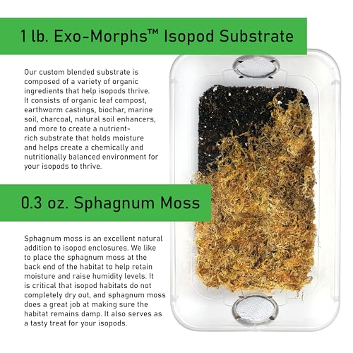 Deluxe Isopod Habitat Kit - Exo-Morphs - Insect Terrarium